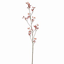 Pure Rozenbotteltak l120cm oranje