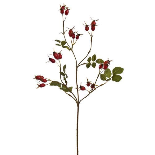 Pure Rozenbotteltak l67cm rood