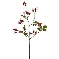 Pure Rozenbotteltak l67cm rood
