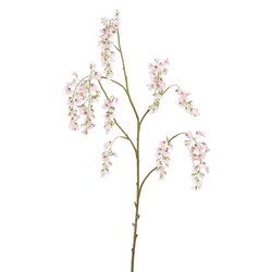 Pure Wisteriatak l156cm roze