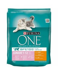 Purina One junior kip 800g