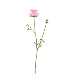 PTMD Ranonkel Flower Pink spray with bud and leaves