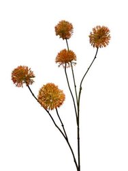 RC Alliumtak x5 l105cm oranje