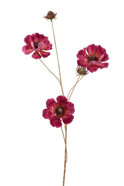 RC Anemoontak l100cm mauve