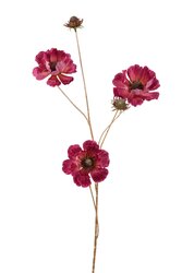 RC Anemoontak l100cm mauve