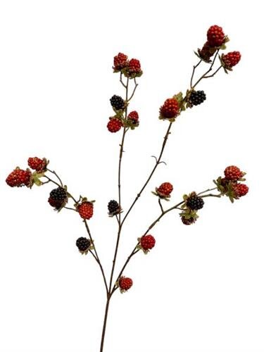 RC Bramentak l76cm rood/zwart mix
