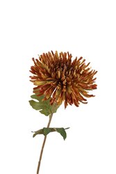 RC Chrysantsteel l72cm groen