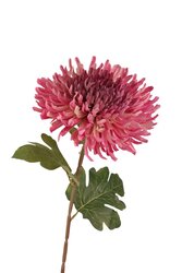 RC Chrysantsteel l72cm mauve