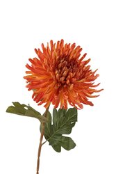 RC Chrysantsteel l72cm oranje