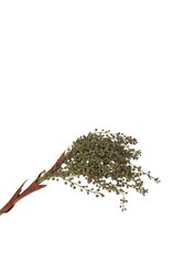 RC Dadeltak l60cm groen