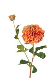 RC Dahliasteel m/knop l81cm oranje