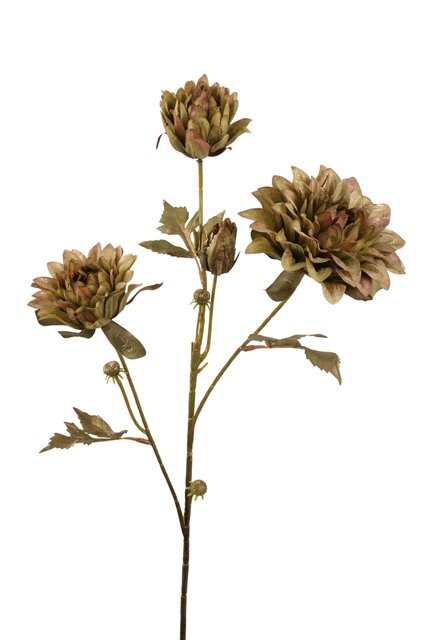 RC Dahliasteel x3 l73cm groen/goud