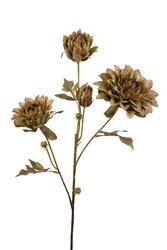RC Dahliasteel x3 l73cm groen/goud