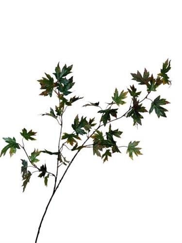 RC Esdoornbladtak l120cm groen