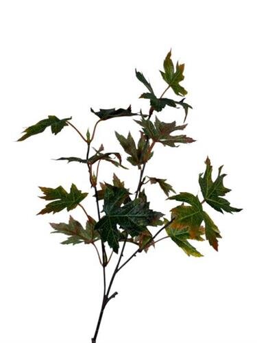 RC Esdoornbladtak x3 autuhm/groen