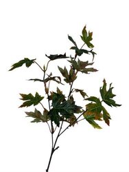 RC Esdoornbladtak x3 autuhm/groen