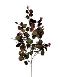RC Eucalyptustak x3 l80cm bordeaux