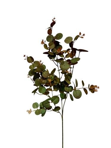 RC Eucalyptustak x3 l80cm groen/kof
