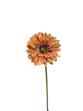 RC Gerberasteel l50cm oranje