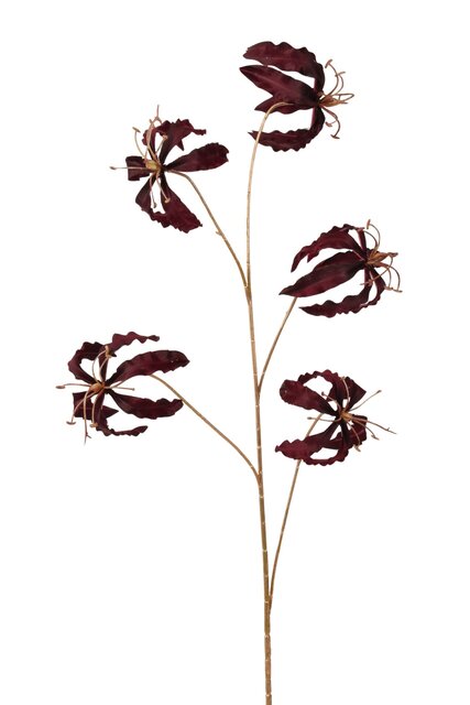 RC Gloriosasteel l95cm bordeaux