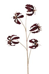 RC Gloriosasteel l95cm bordeaux