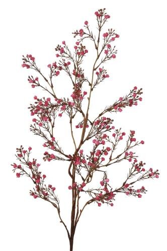 RC Gypsophyliatak l95cm bordeaux
