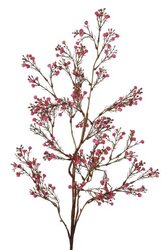 RC Gypsophyliatak l95cm bordeaux