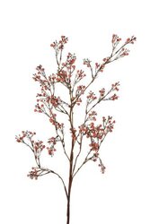 RC Gypsophyliatak l95cm oranje
