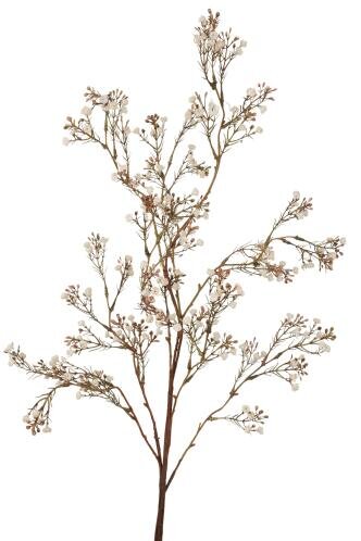 RC Gypsophyliatak l95cm wit