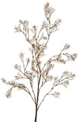 RC Gypsophyliatak l95cm wit
