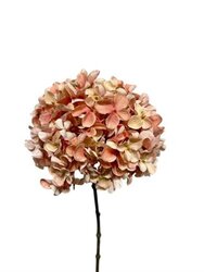 RC Hortensiasteel x1 l67cm roze