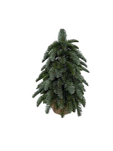 RC Nobilusboom h40cm groen