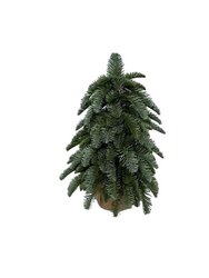 RC Nobilusboom h40cm groen