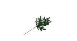 RC Nobilustak h90cm groen