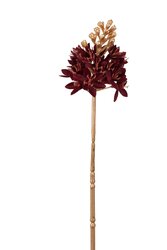 RC Ornitigalumsteel lg l72cm bordeaux