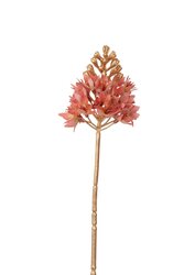 RC Ornitigalumsteel lg l72cm lichtroze