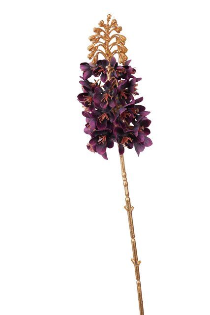 RC Ornitigalumsteel lg l85cm donkerpaars