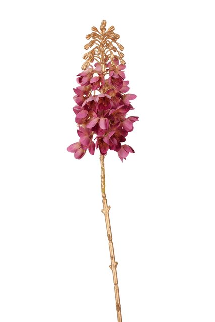 RC Ornitigalumsteel lg l85cm mauve