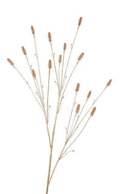 RC Pimpernelsteel l102cm goud