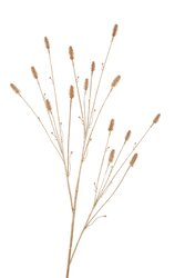 RC Pimpernelsteel l102cm goud