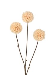 RC Pompomtak x 3 l78cm creme