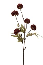 RC Pompomtak x5 l52cm wijn/rood