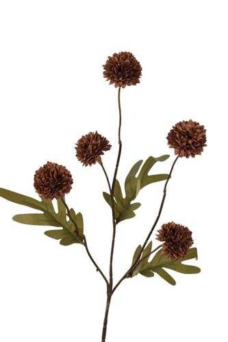 RC Pompomtak x5 spr l52cm dk koffie