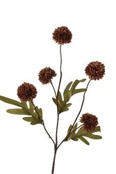 RC Pompomtak x5 spr l52cm koffie
