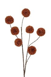 RC Pompomtak x7 lg l98cm koffie