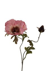RC Ranonkelsteel l85cm roze