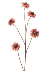RC Scabiosatak l94cm lichtroze