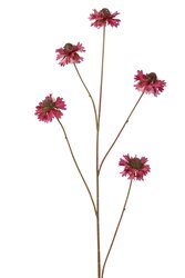 RC Scabiosatak l94cm mauve