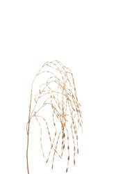 RC Tak hang l110cm goud