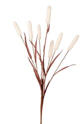 RC Typhatak x7 l95cm wit/koffie
